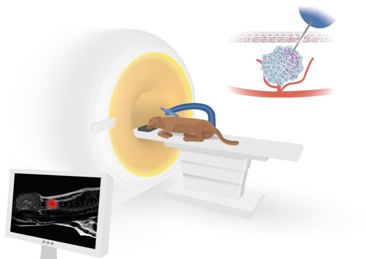 Hond in CT-scanner