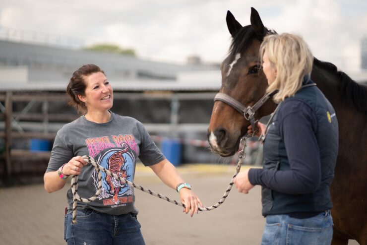 Paardenarts met klant