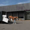 Parkeerplaats bij de Universiteitskliniek voor Paarden in Utrecht.